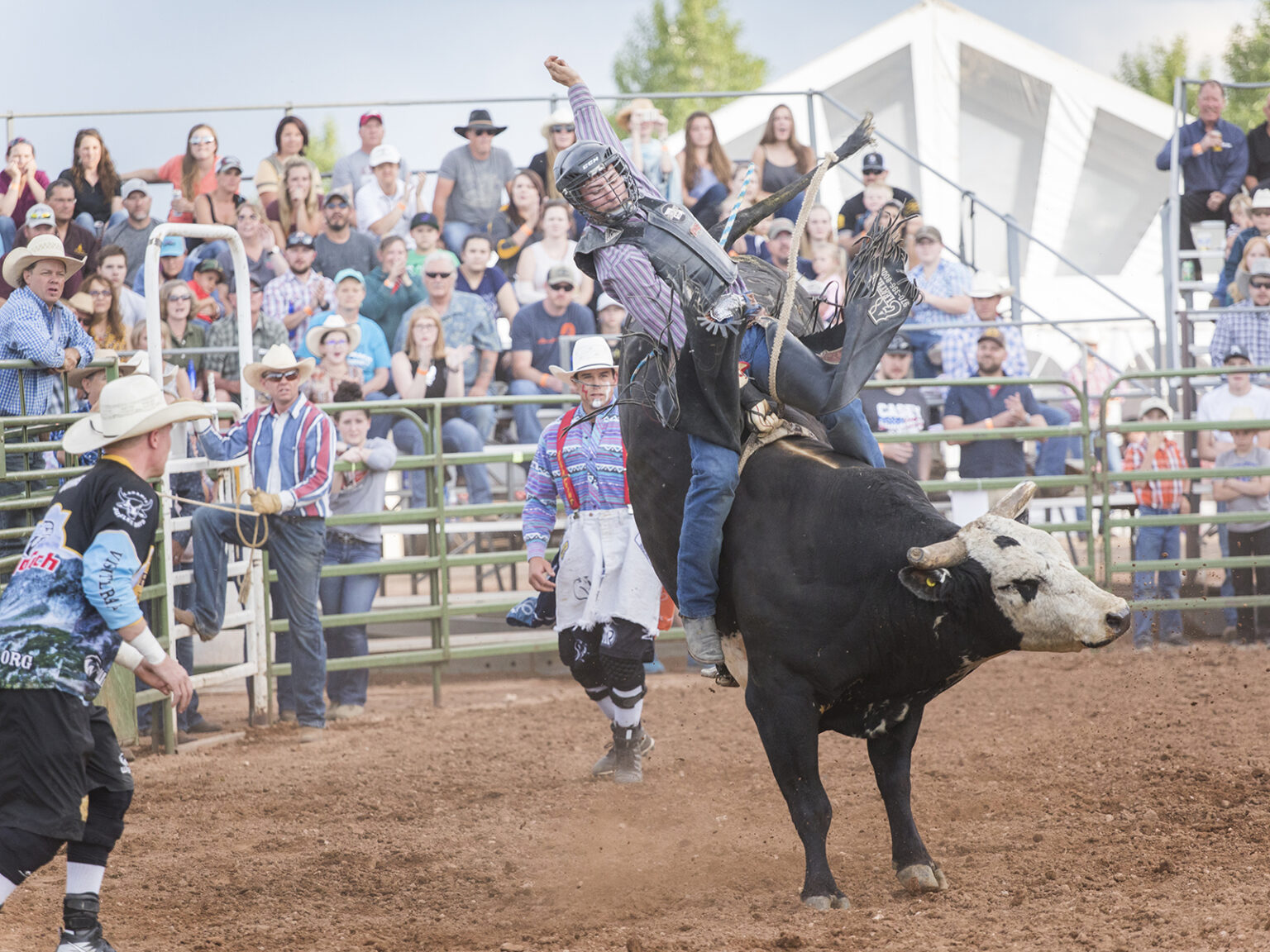 A cowboy riding a bull in Laramie