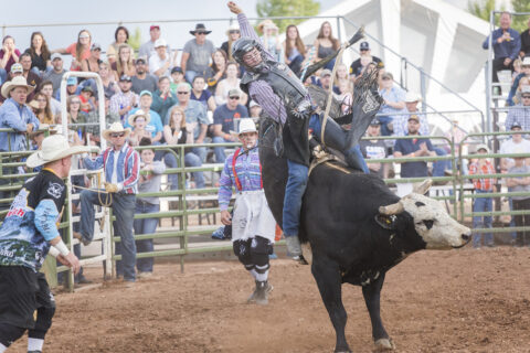 A cowboy riding a bull in Laramie