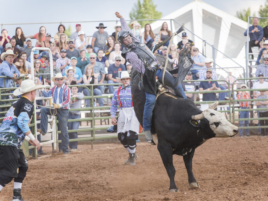 A cowboy riding a bull in Laramie