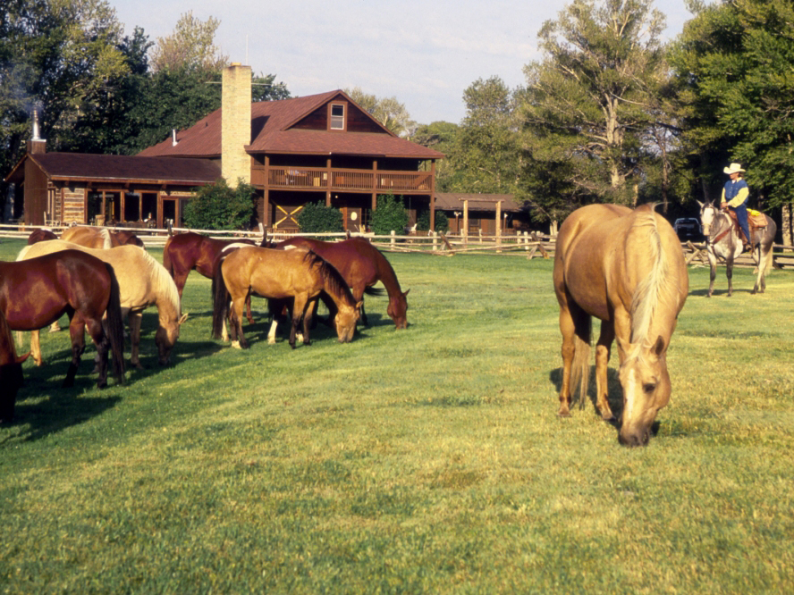 Horses outside Vee Bar Guest Ranch