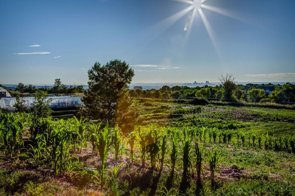 Bean Acres Launches YearRound Farm Dinners 5280