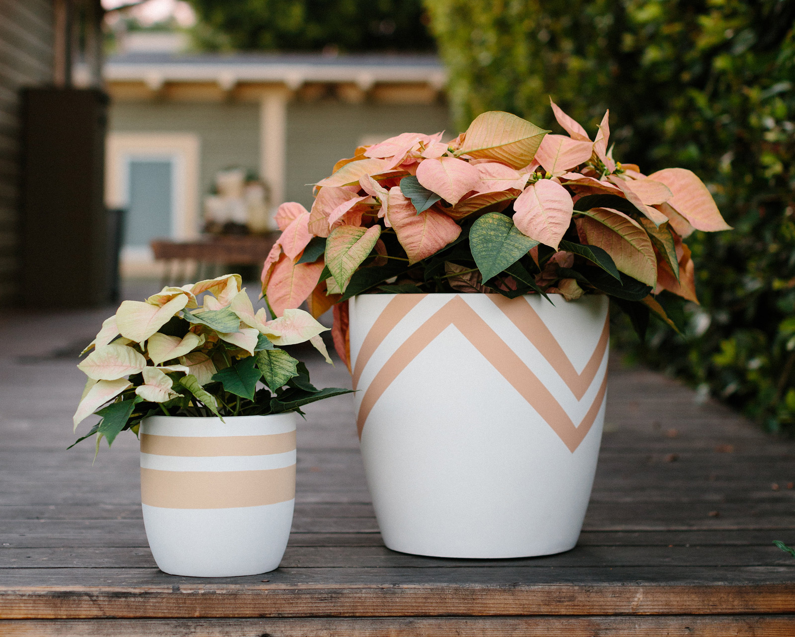 pop-up-greens-planters