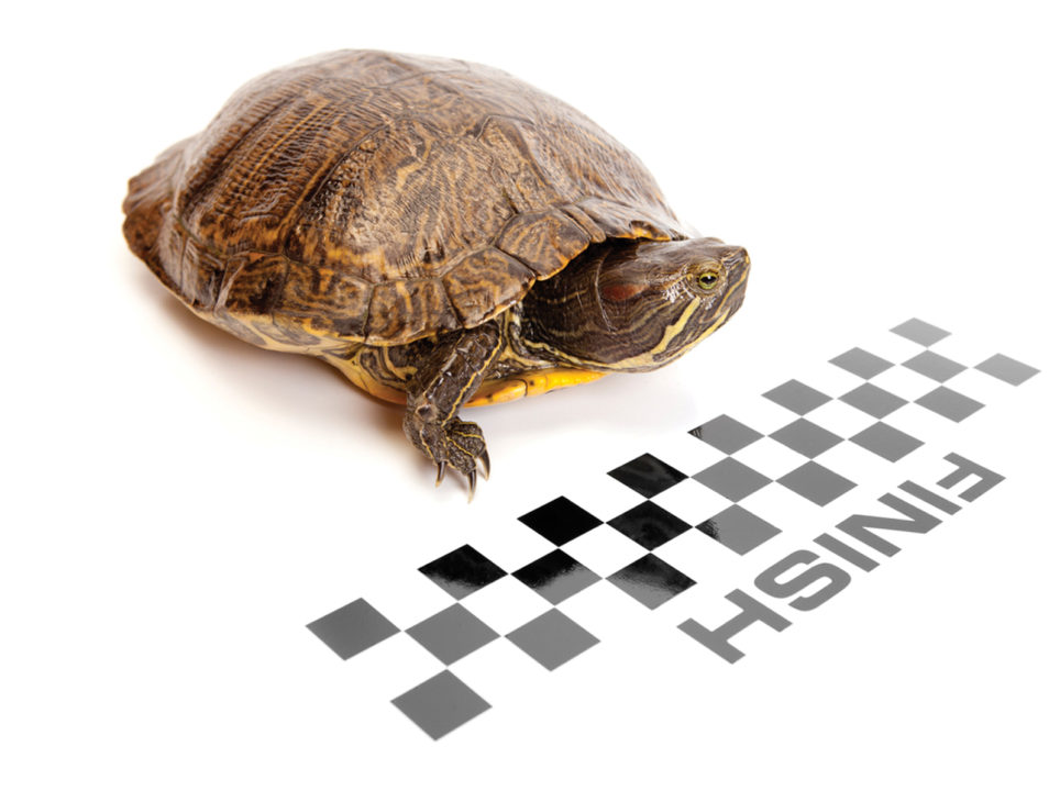 The Ultimate Guide to Running In Colorado