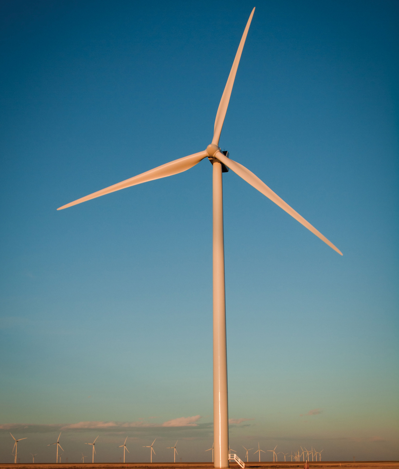 wind turbine