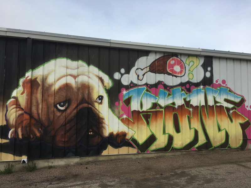 Dog thinking about a bone