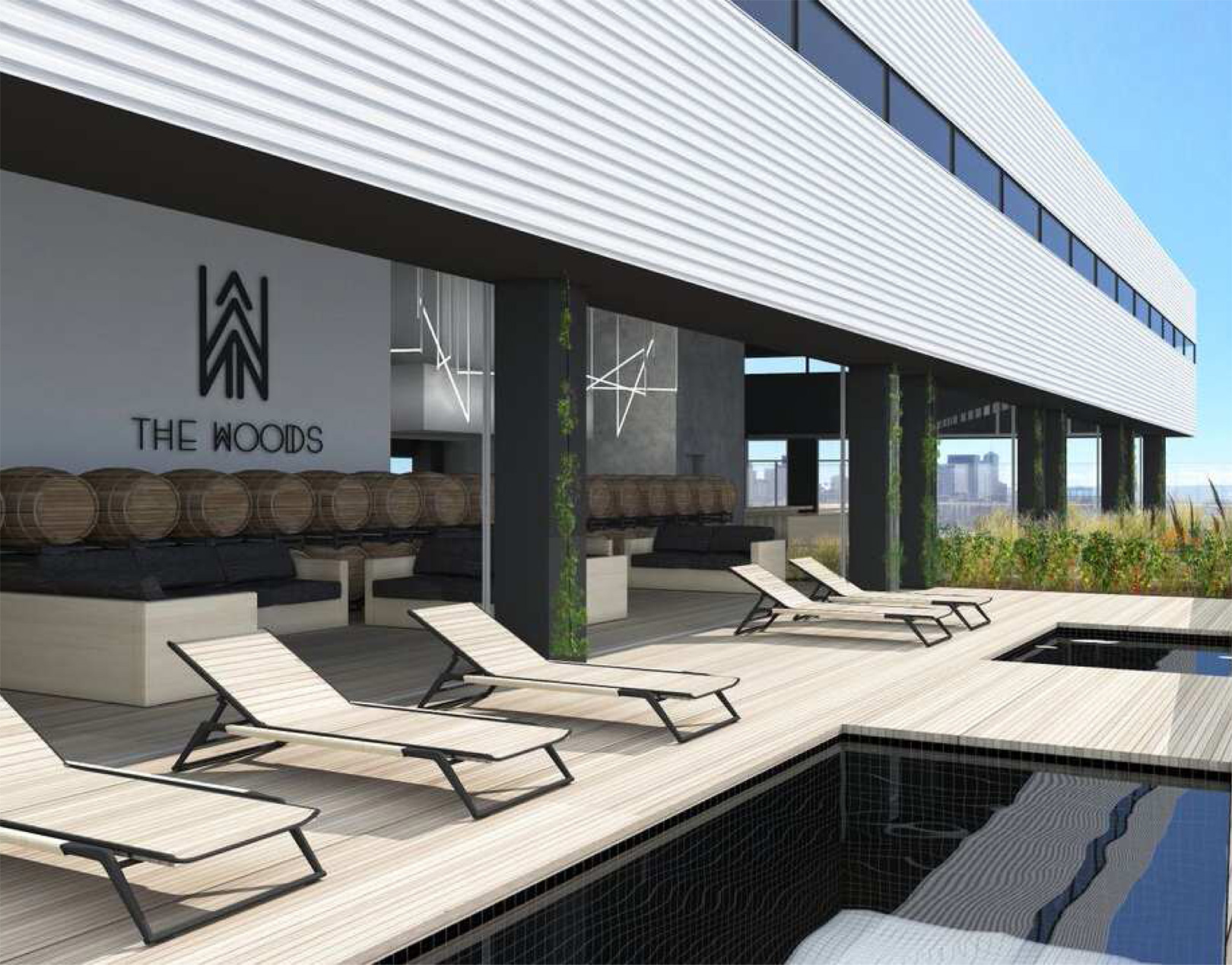 The-Source-The-Woods