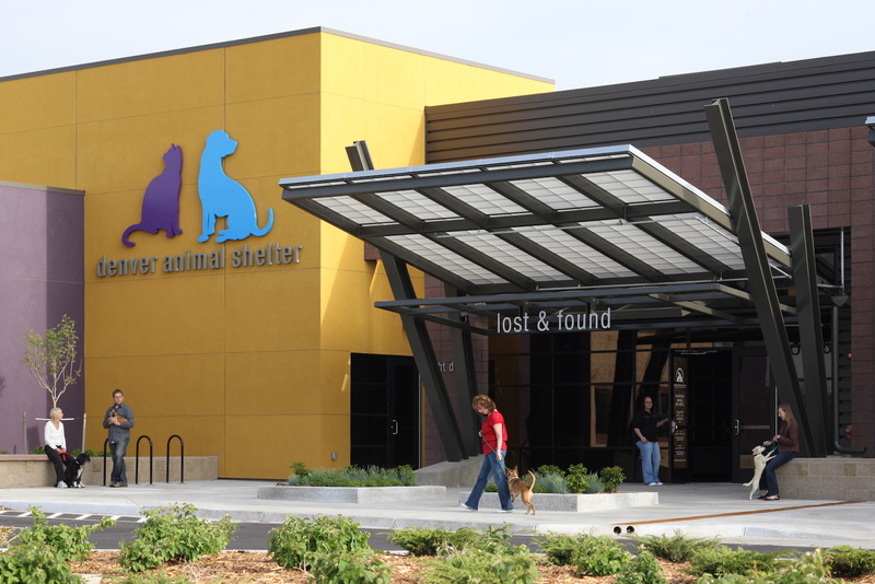 Denver Animal Shelter