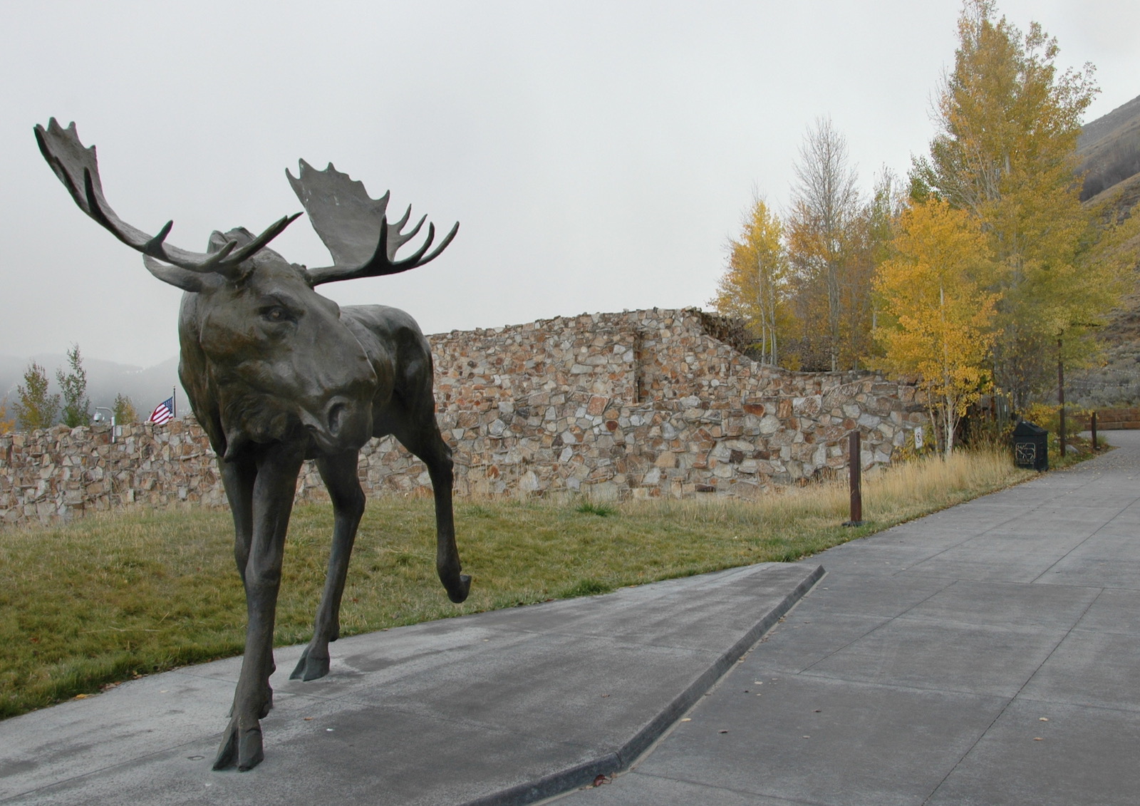 National Museum of Wildlife Art