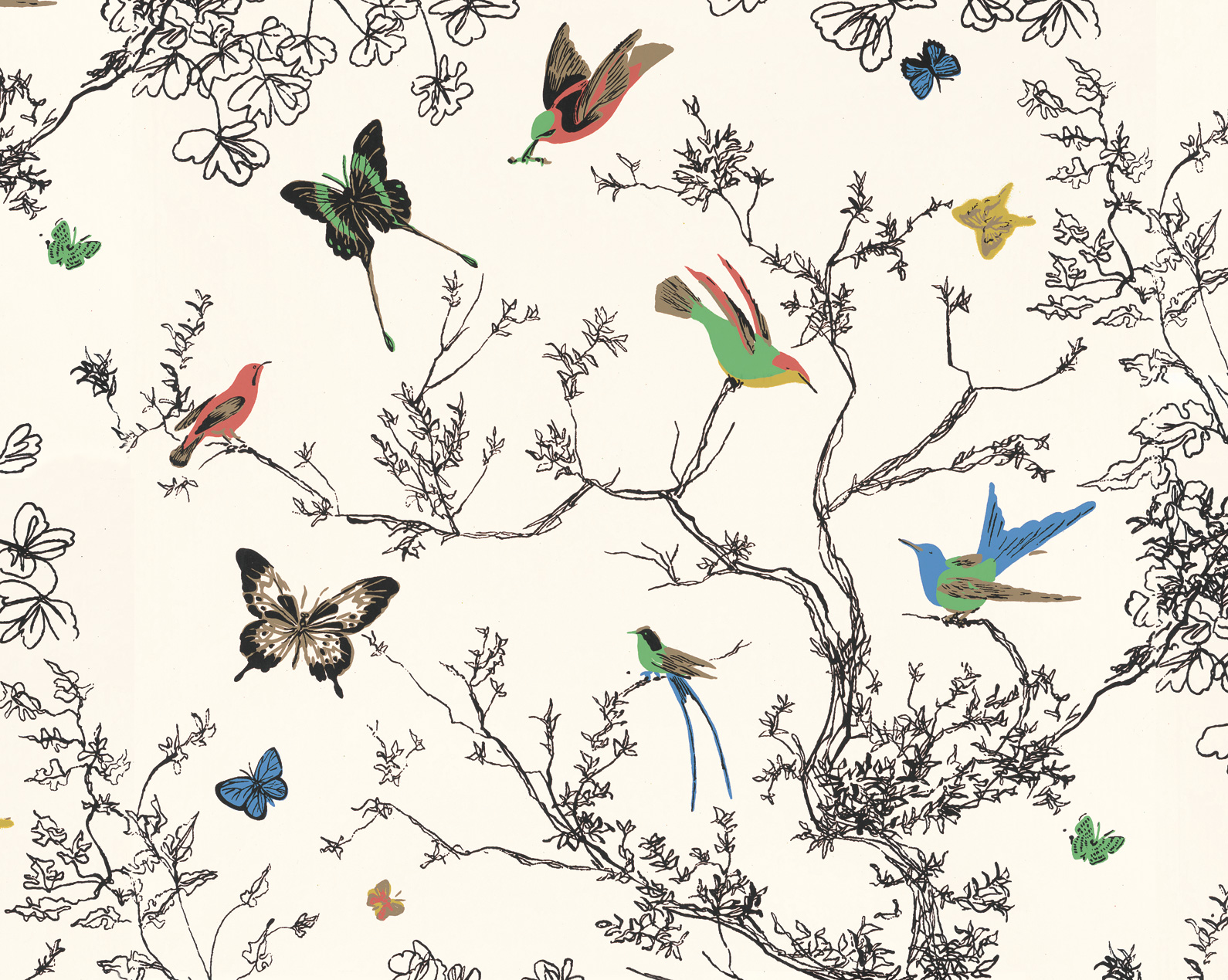 Butterfly-Print-Cropped