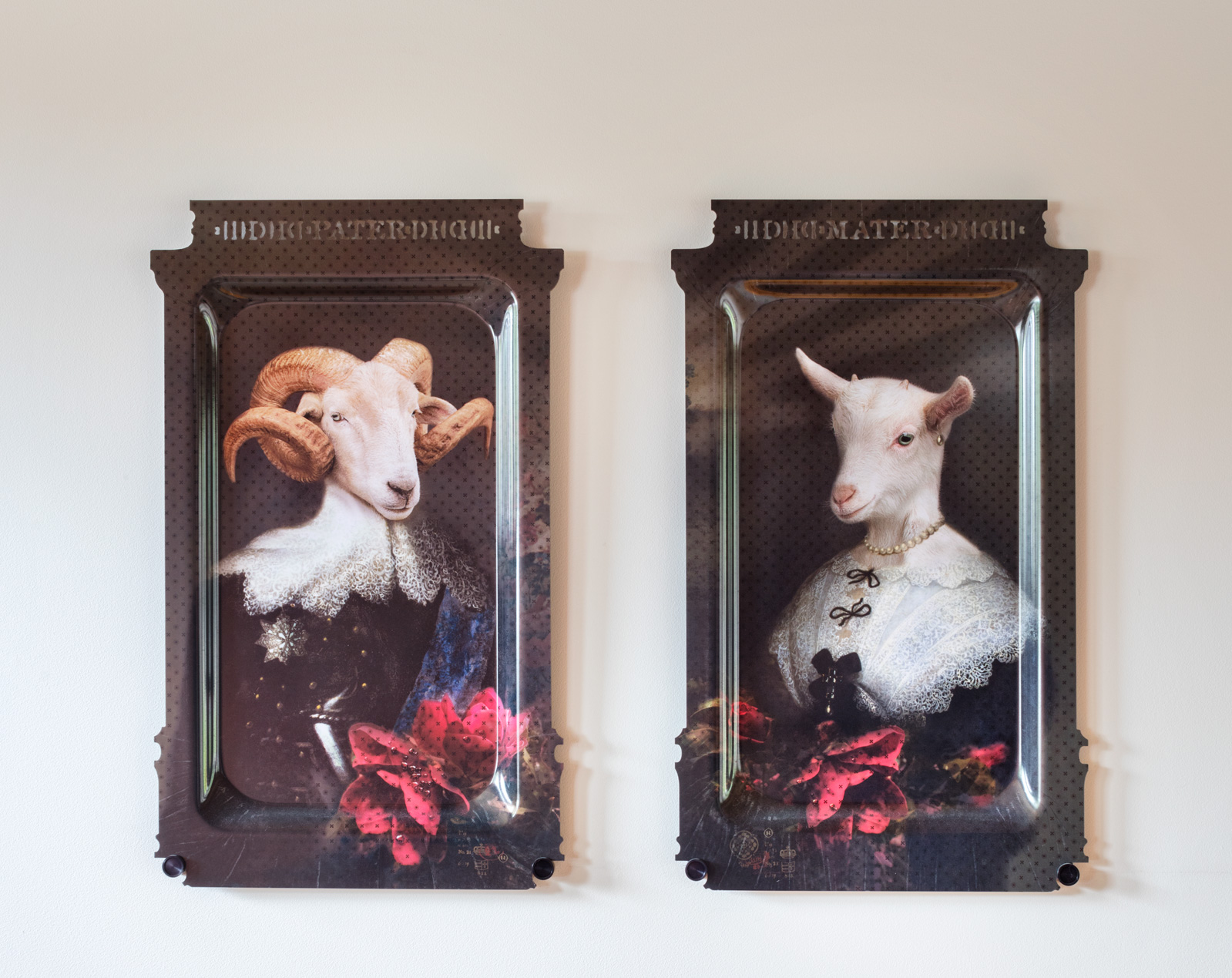 Contempory-Trays-iBride