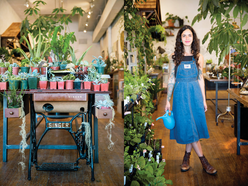 Lynn-Flanagan-Rosehouse