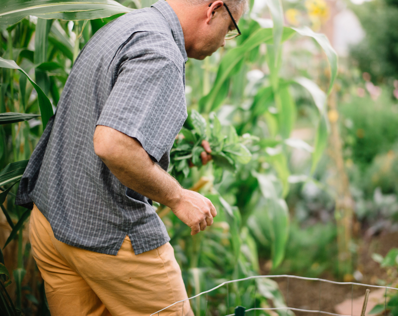 pete-marczyk-gardener