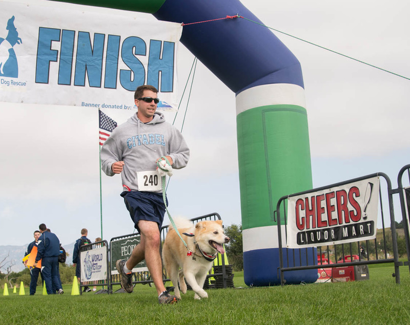 National Mill Dog Rescue