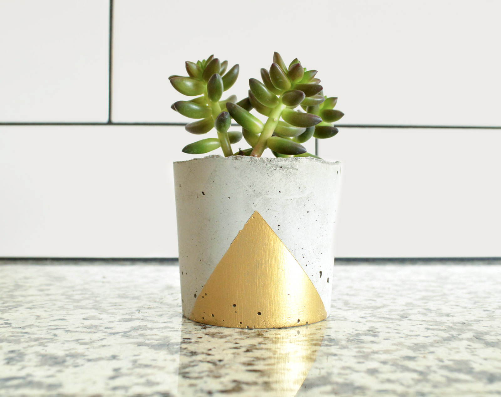 planter-gold