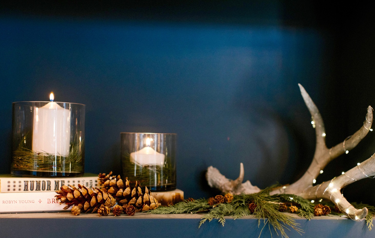 teatro bookshelf antler detail