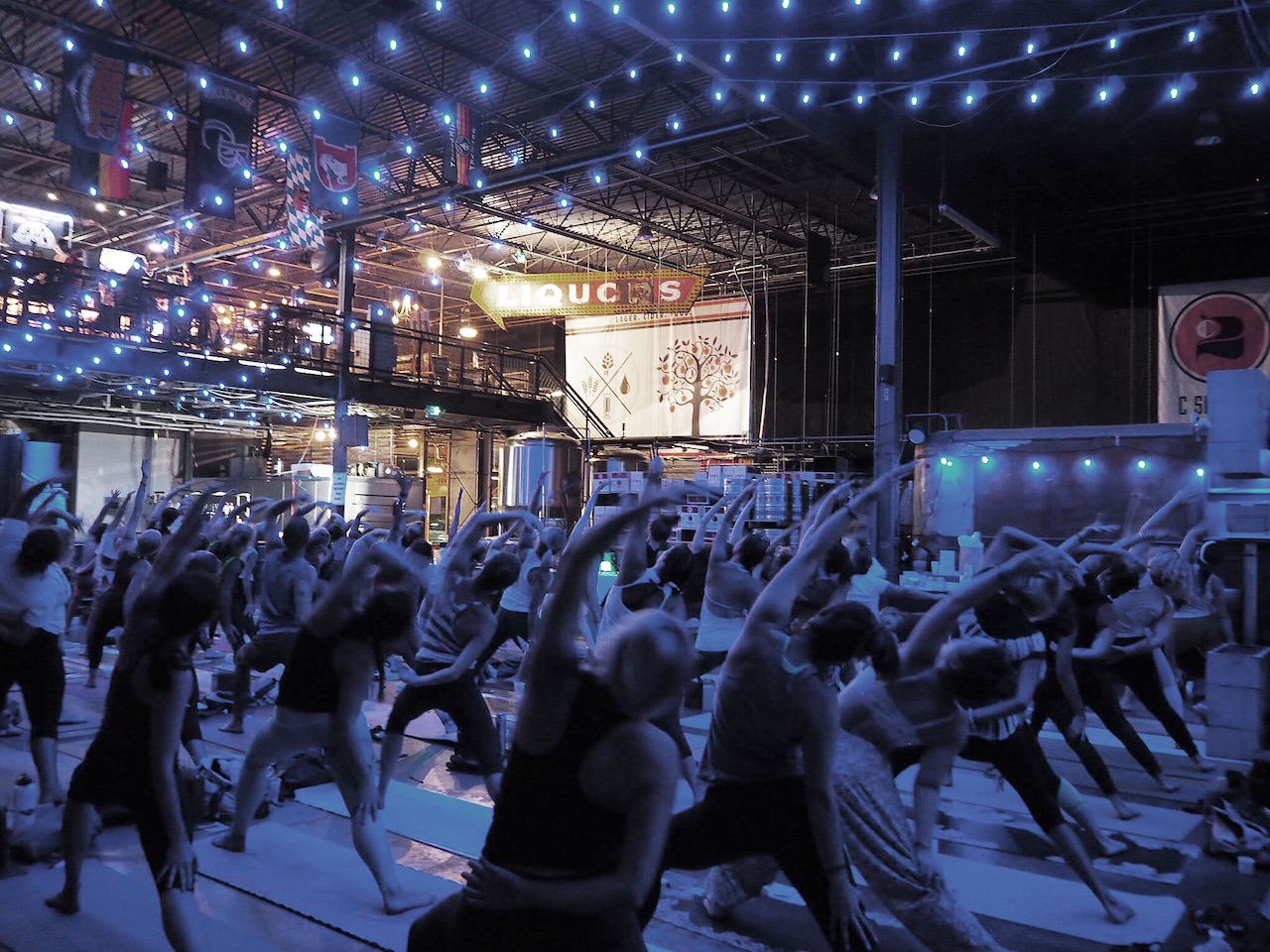 yoga, women, friends, female, ladies, vinyasa, friendship