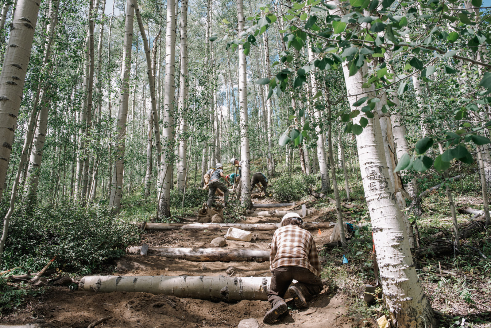 Mt. Elbert trail maintenance
