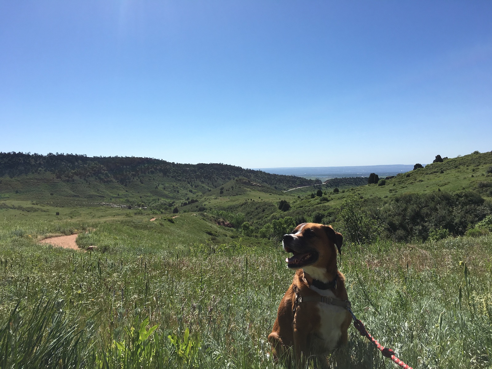 Matthews/Winters Park