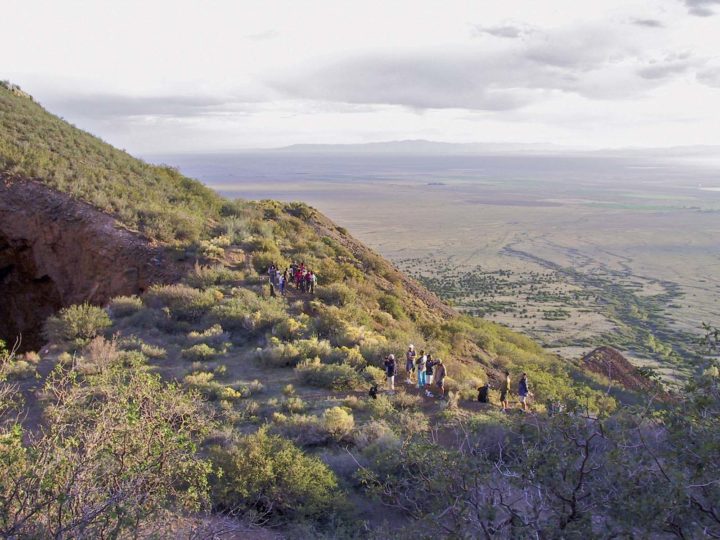 Visit a Huge Bachelor Bat Colony at the Orient Land Trust 5280