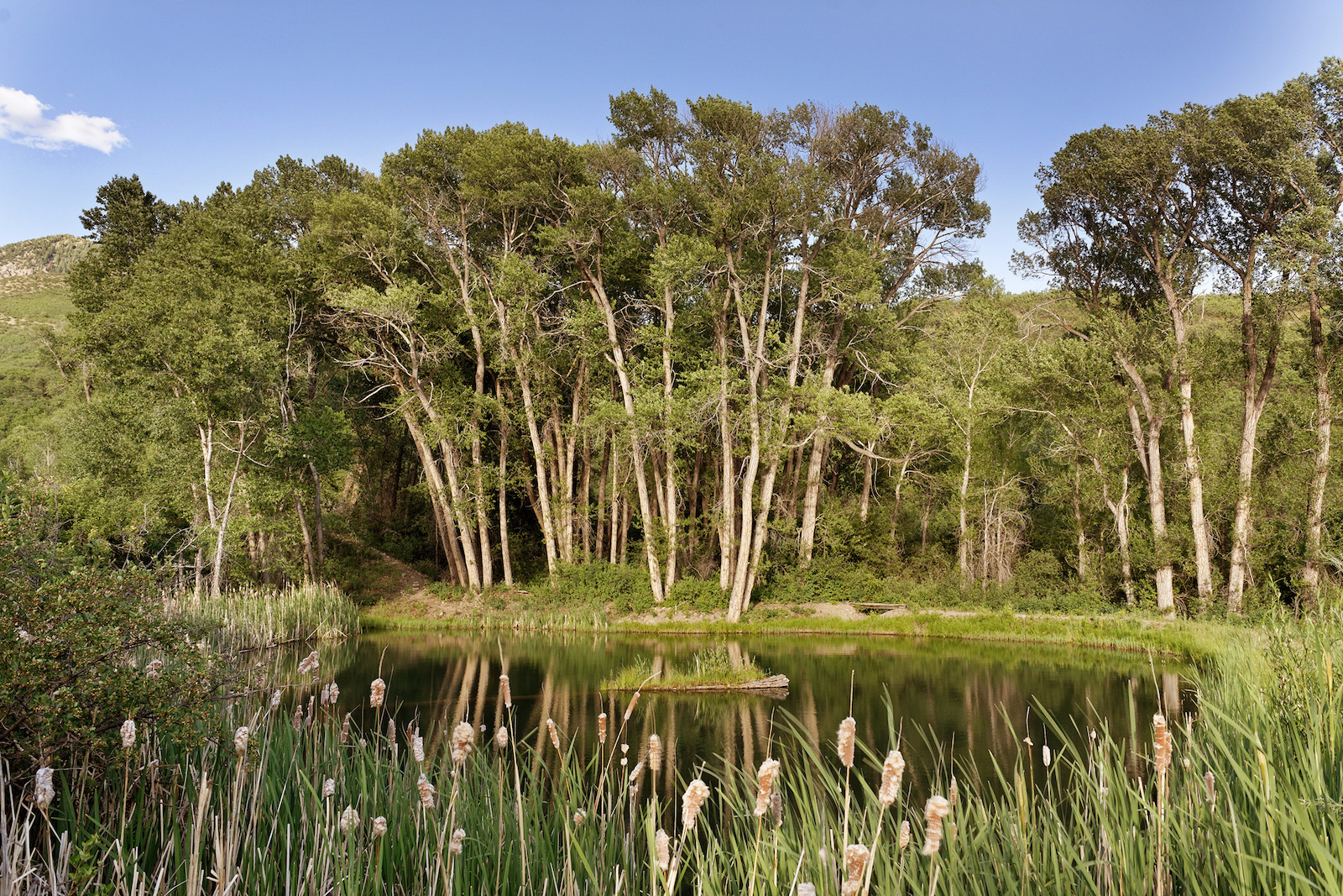 smith fork ranch pond Photo courtesy of Coldwell Banker Mason Morse