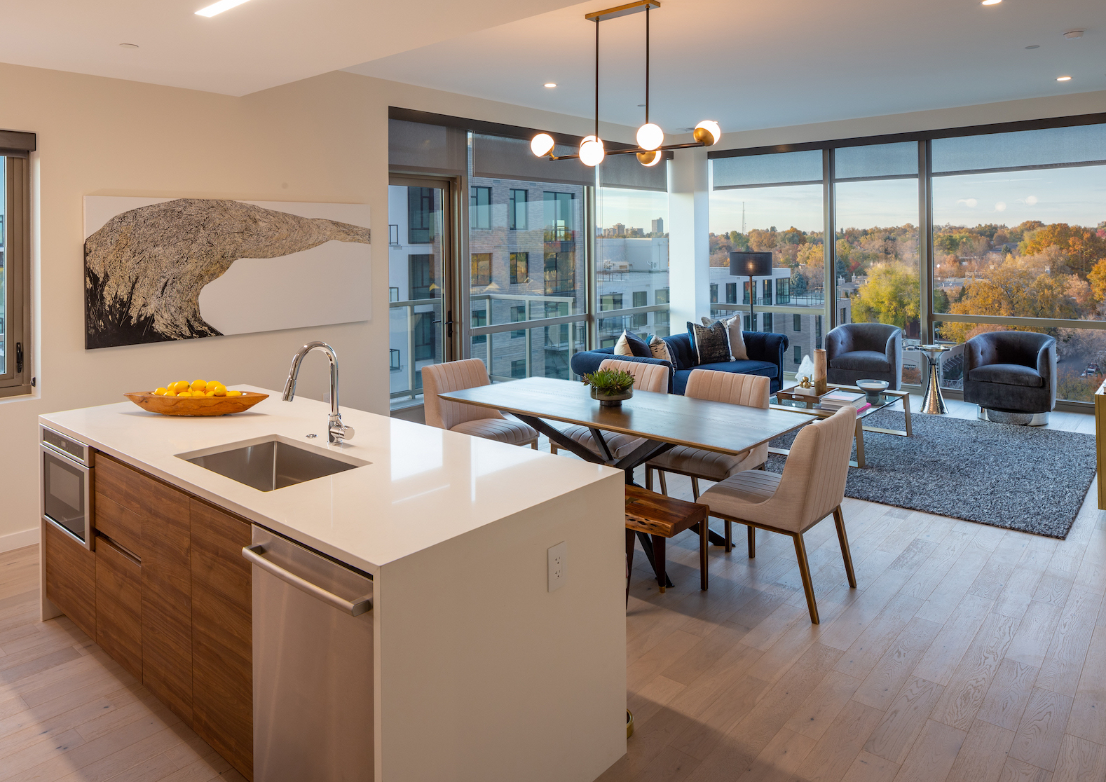 st paul collection residence photo by Adams Visual Communications