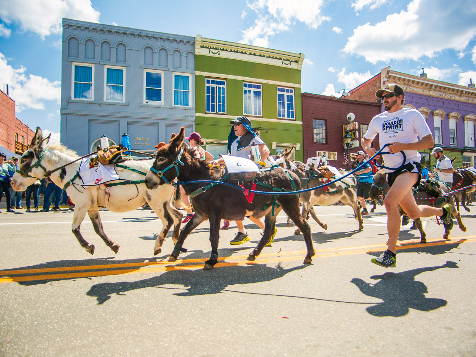 Burro race at Leadville Boom Days
