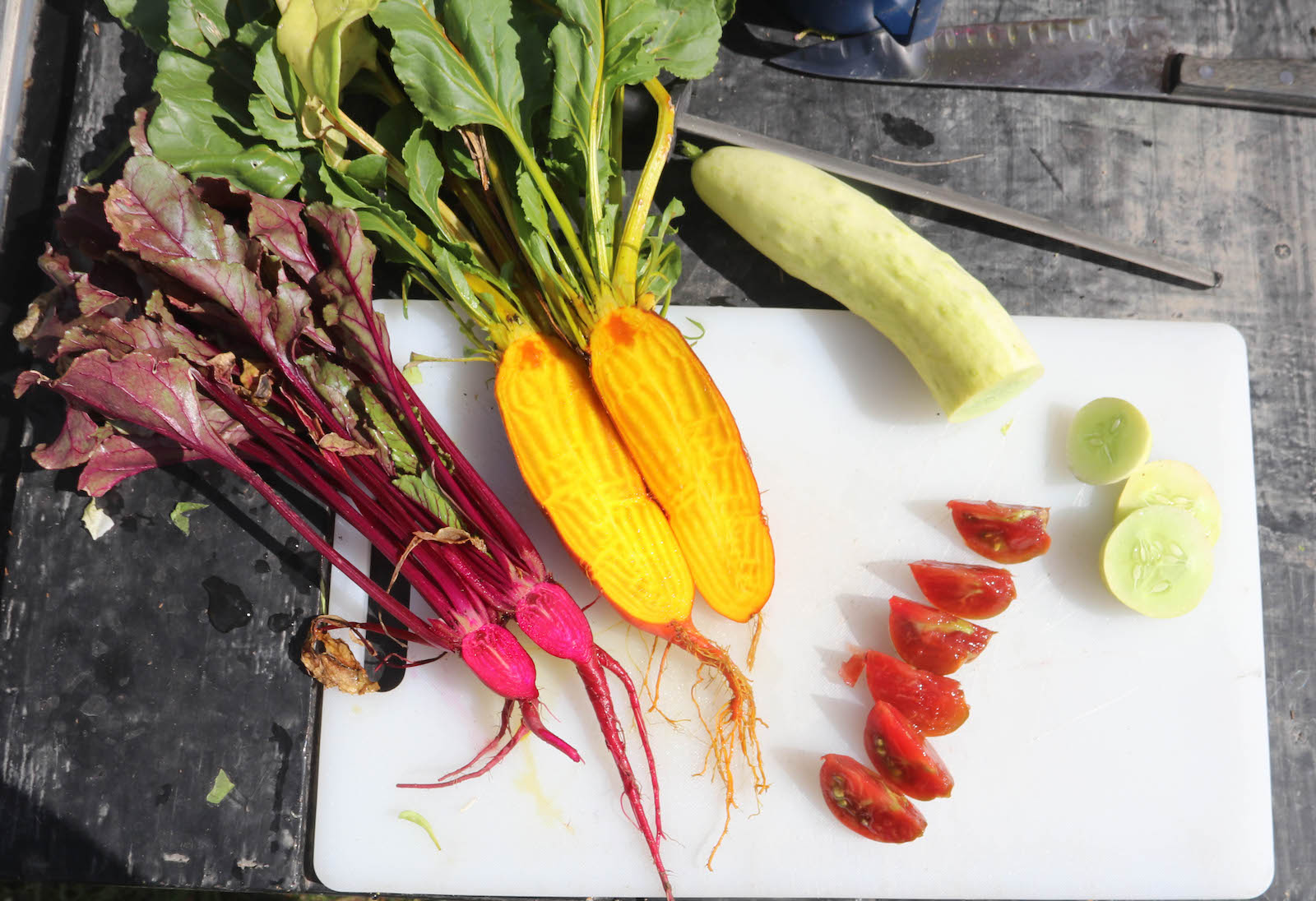 Lost Creek Micro Farm vegetables