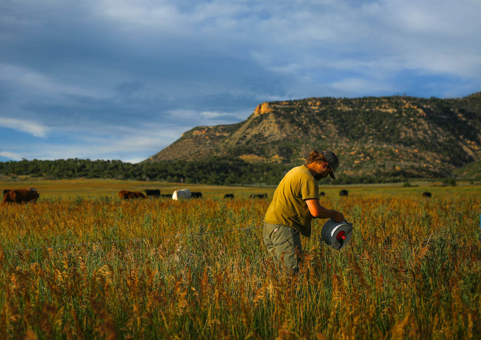 Legislative Initiatives That Could Help Colorado's Young Farmers