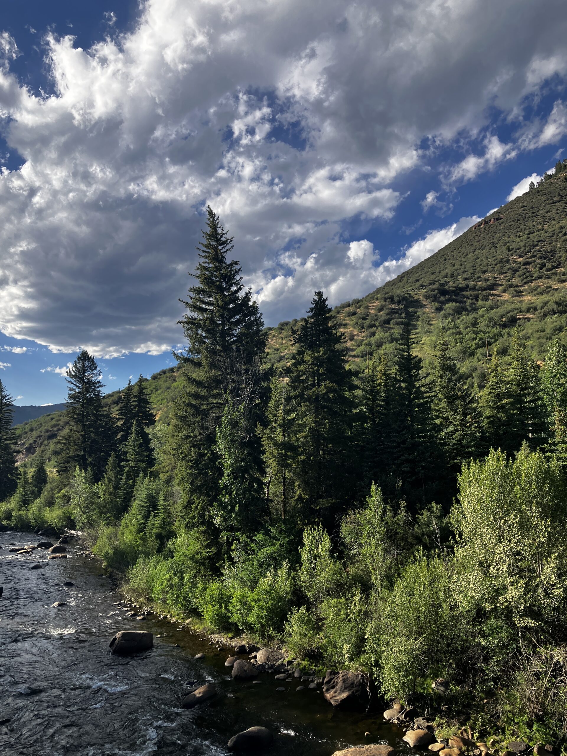 The Eagle River in Minturn. Photo by Rose Cahalan