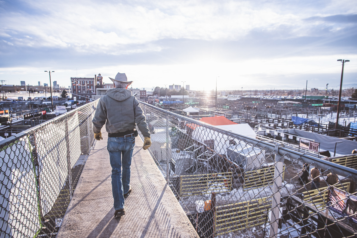 National Western Center Project What You Need to Know