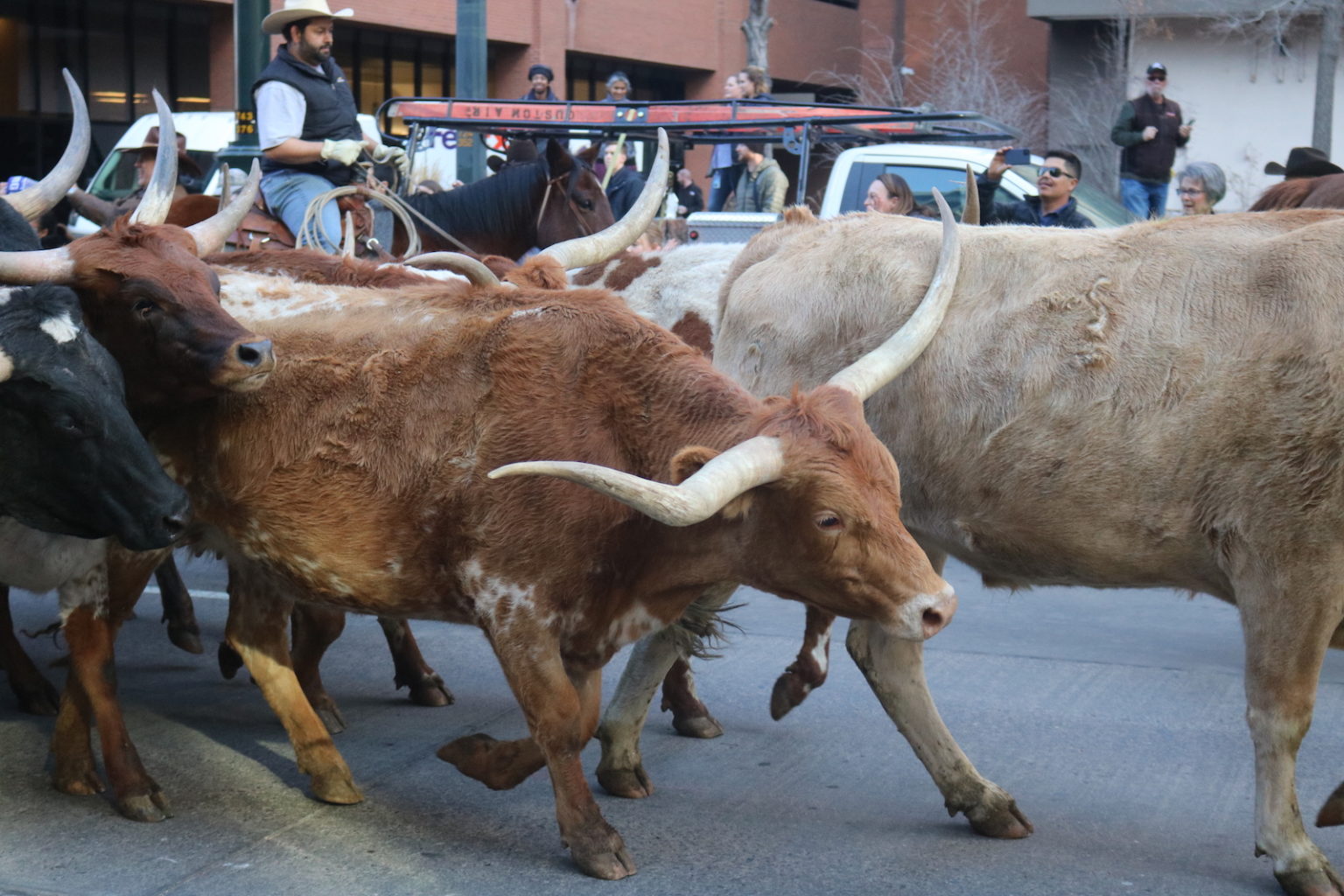 Colorado News Stories That Defined January 2020