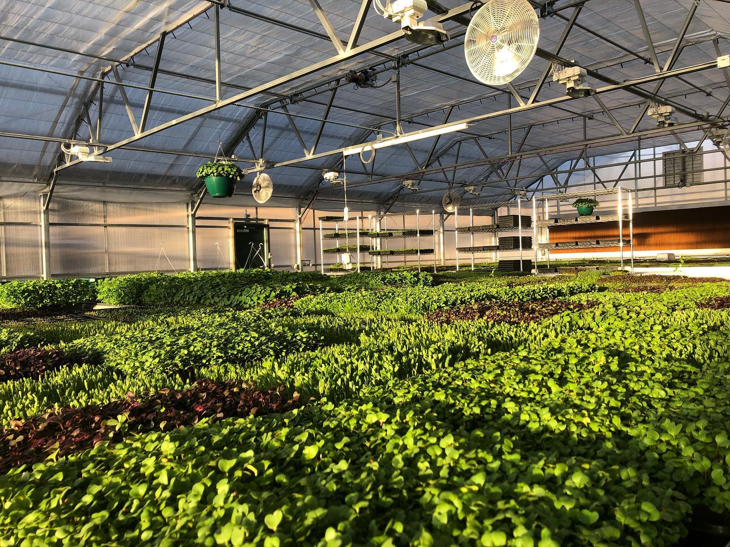 How 3 Local Culinary Companies Are Giving Back - Vimarsana News