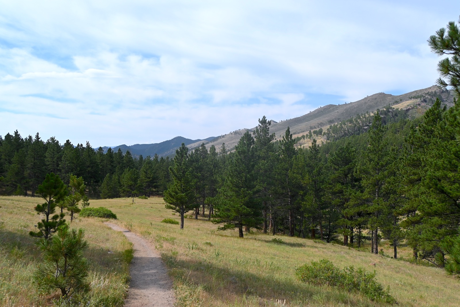 Hike Grindstone Quarry Trail at Heil Valley Ranch in Lyons