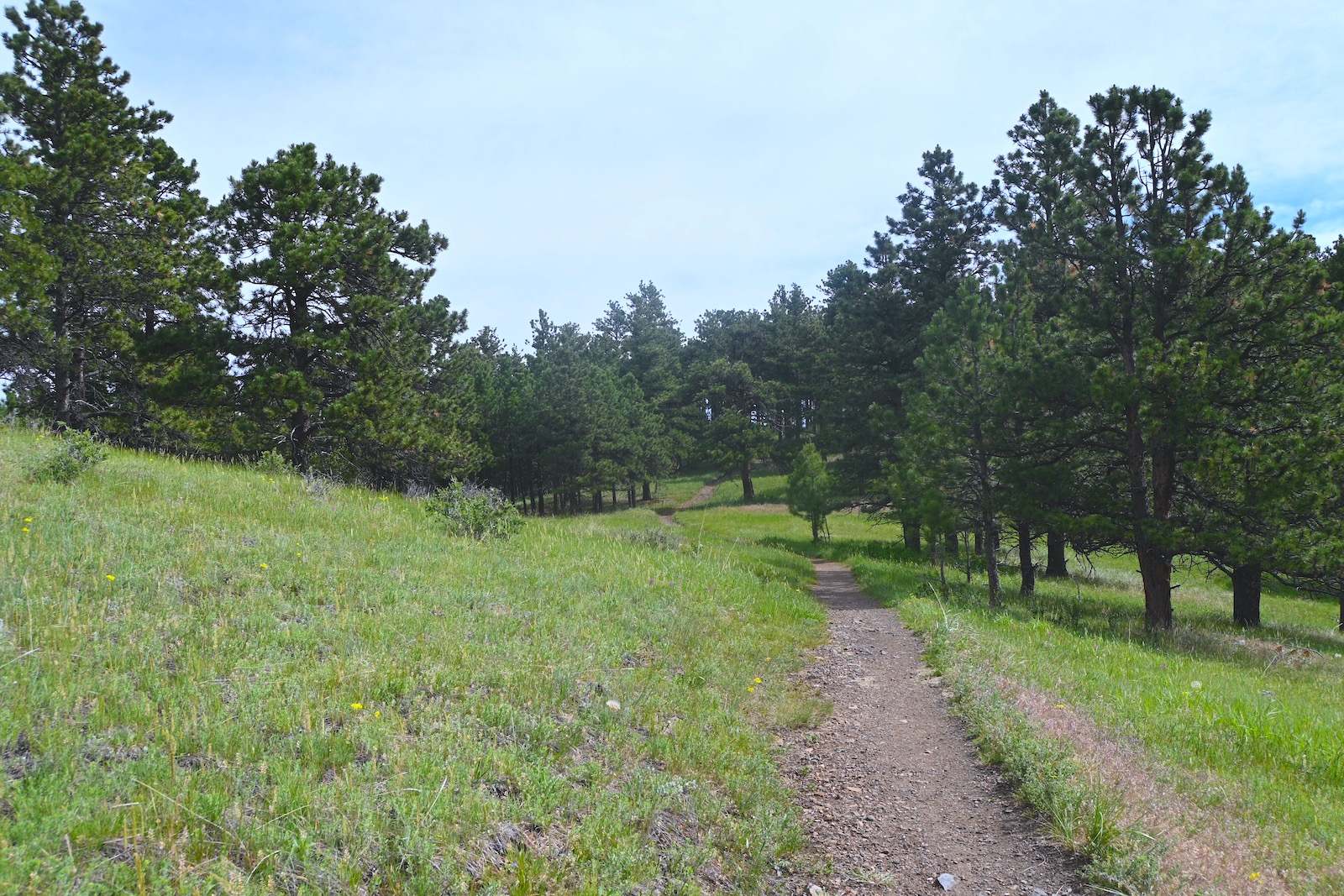 Hike the Rawhide Trail in White Ranch Park in Golden