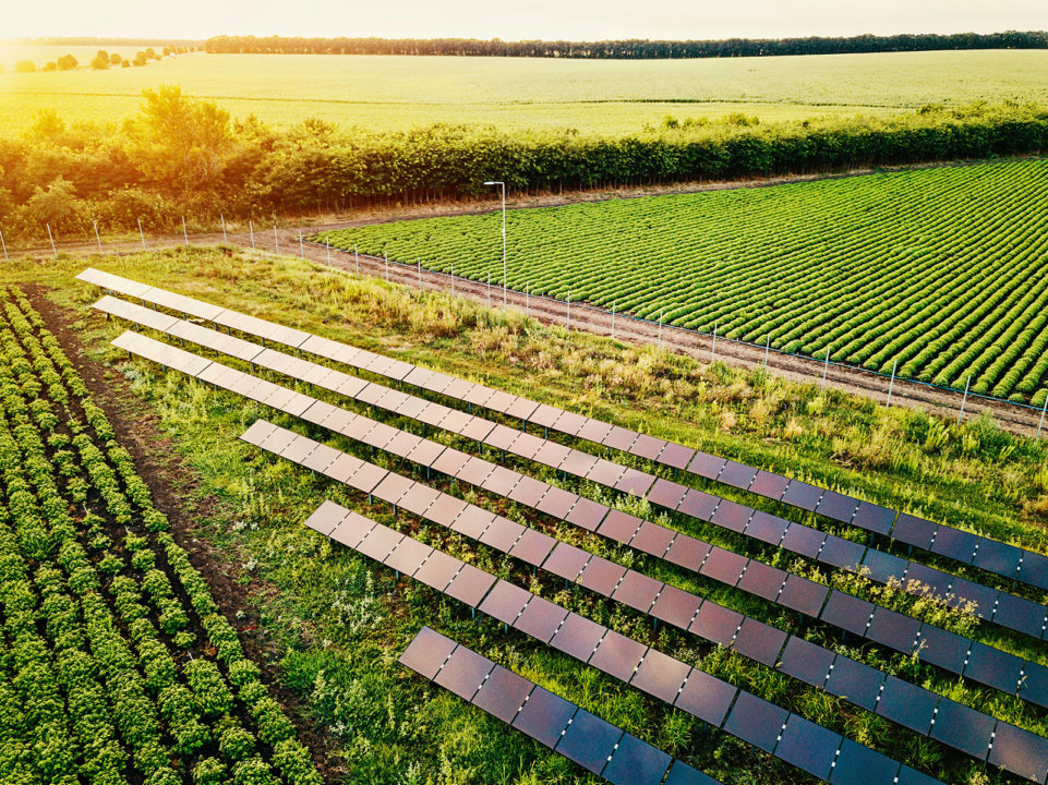 How Jack's Solar Garden Hopes To Transform Farming—For Good 5280