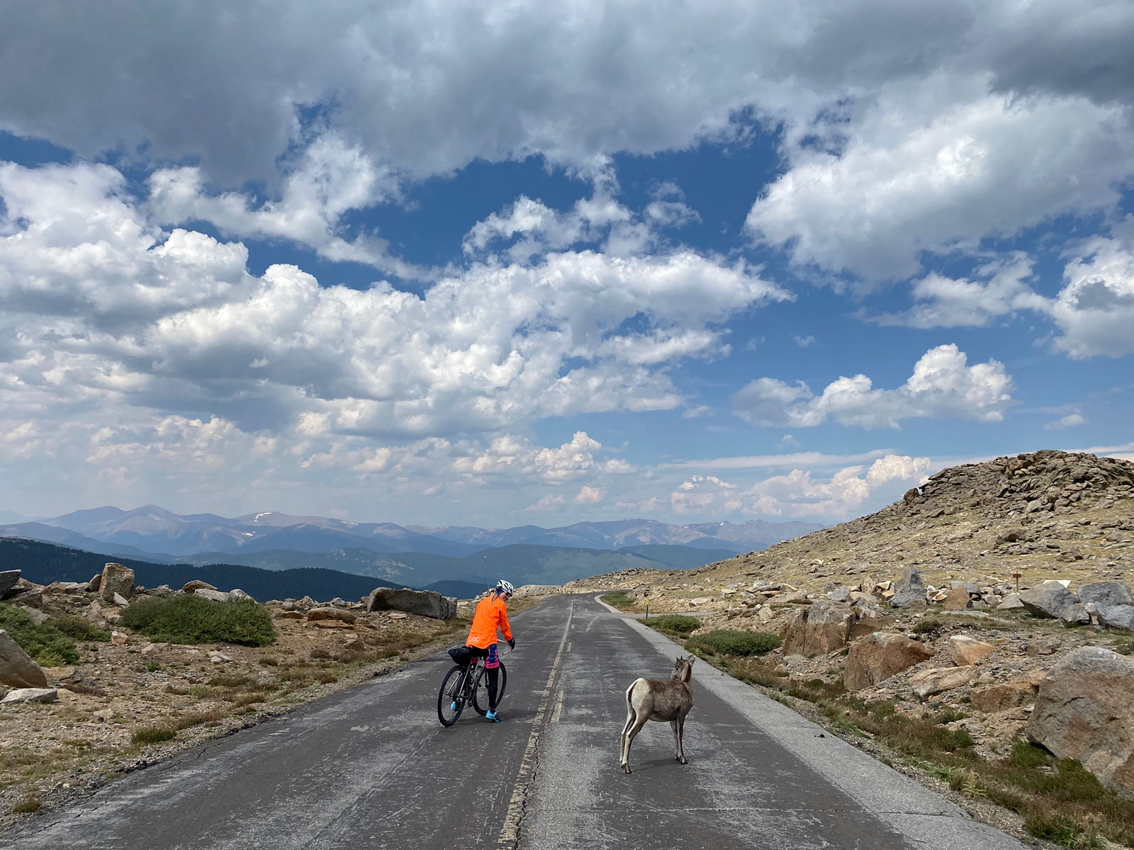 mount evans bike ride