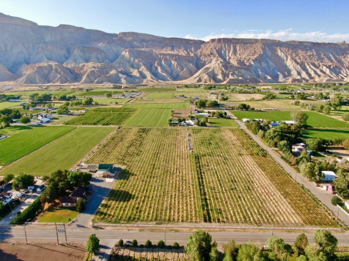 Carboy Winery Expands With Palisade Vineyard and Production Facility