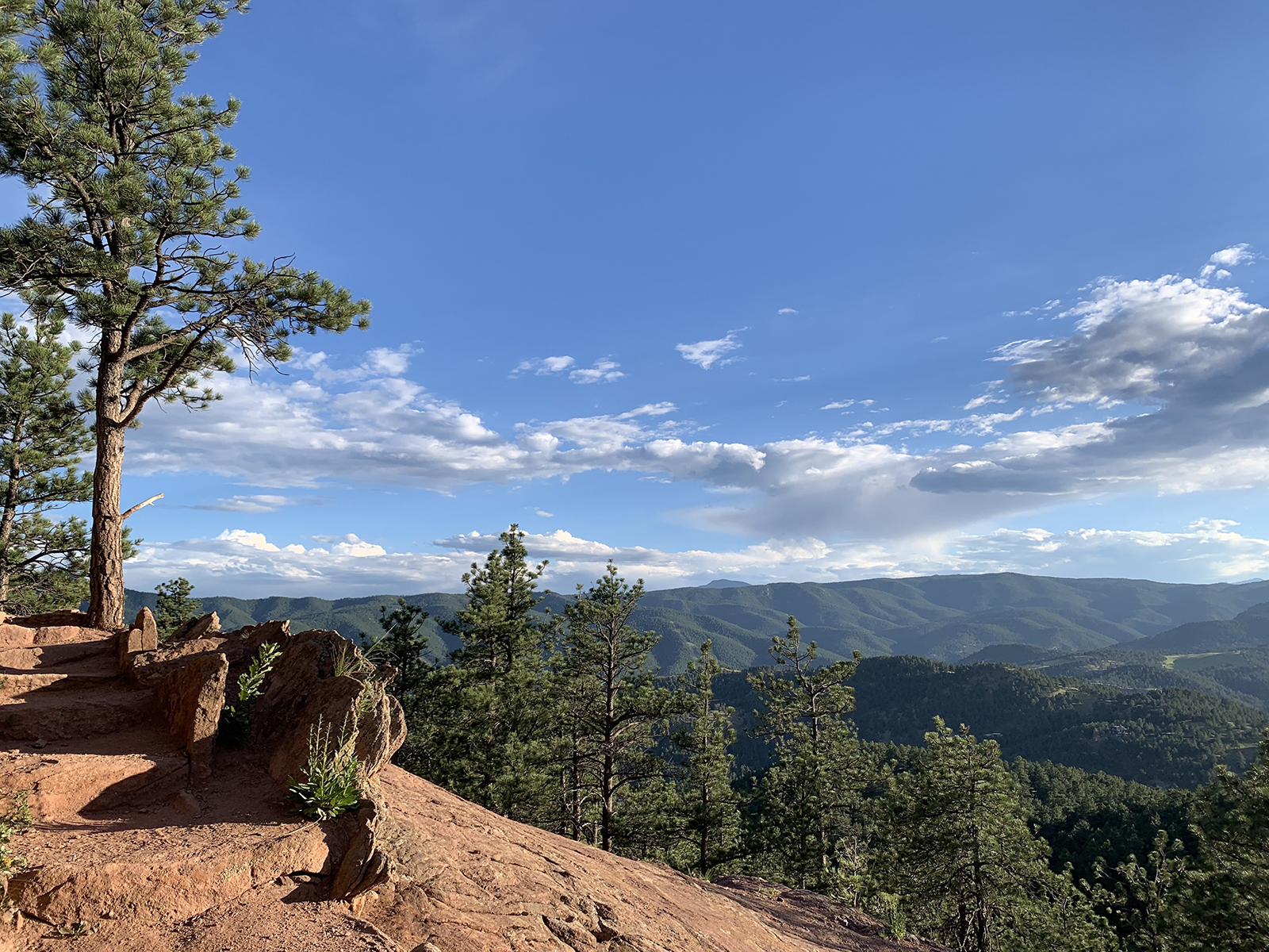 Summer Activities to Do in the Denver Area After Work - Vimarsana News