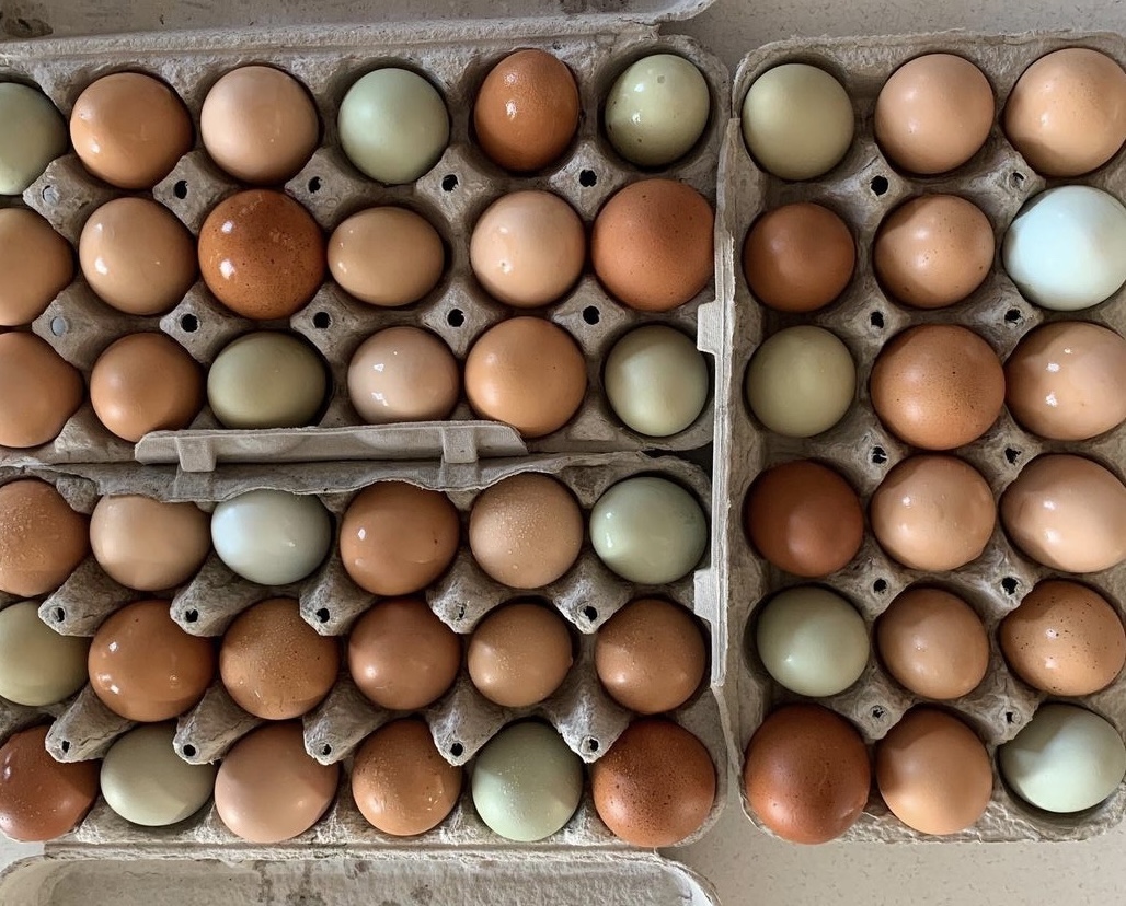 What to Buy at the New City Park Farmers Market - Vimarsana News