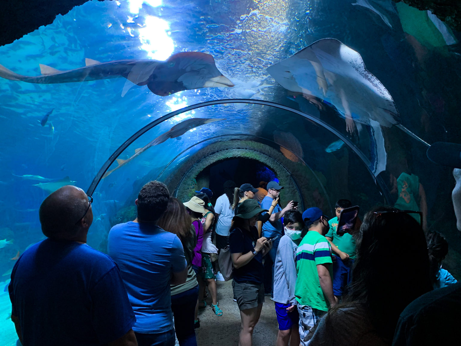The Complete Guide to the Denver Aquarium