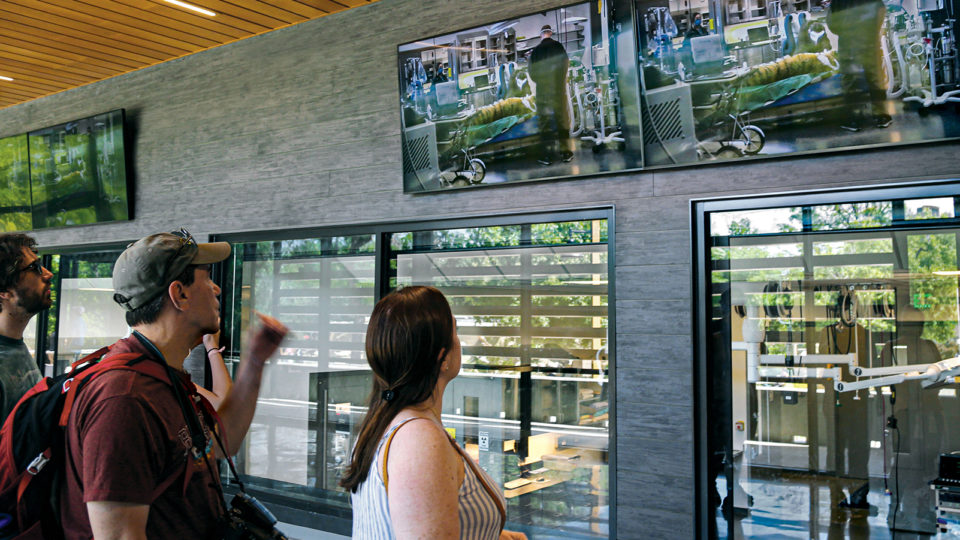 Inside the Denver Zoo's New Animal Hospital 5280