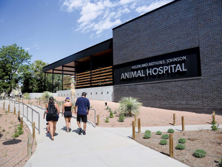 À l'intérieur du nouvel hôpital pour animaux du zoo de Denver