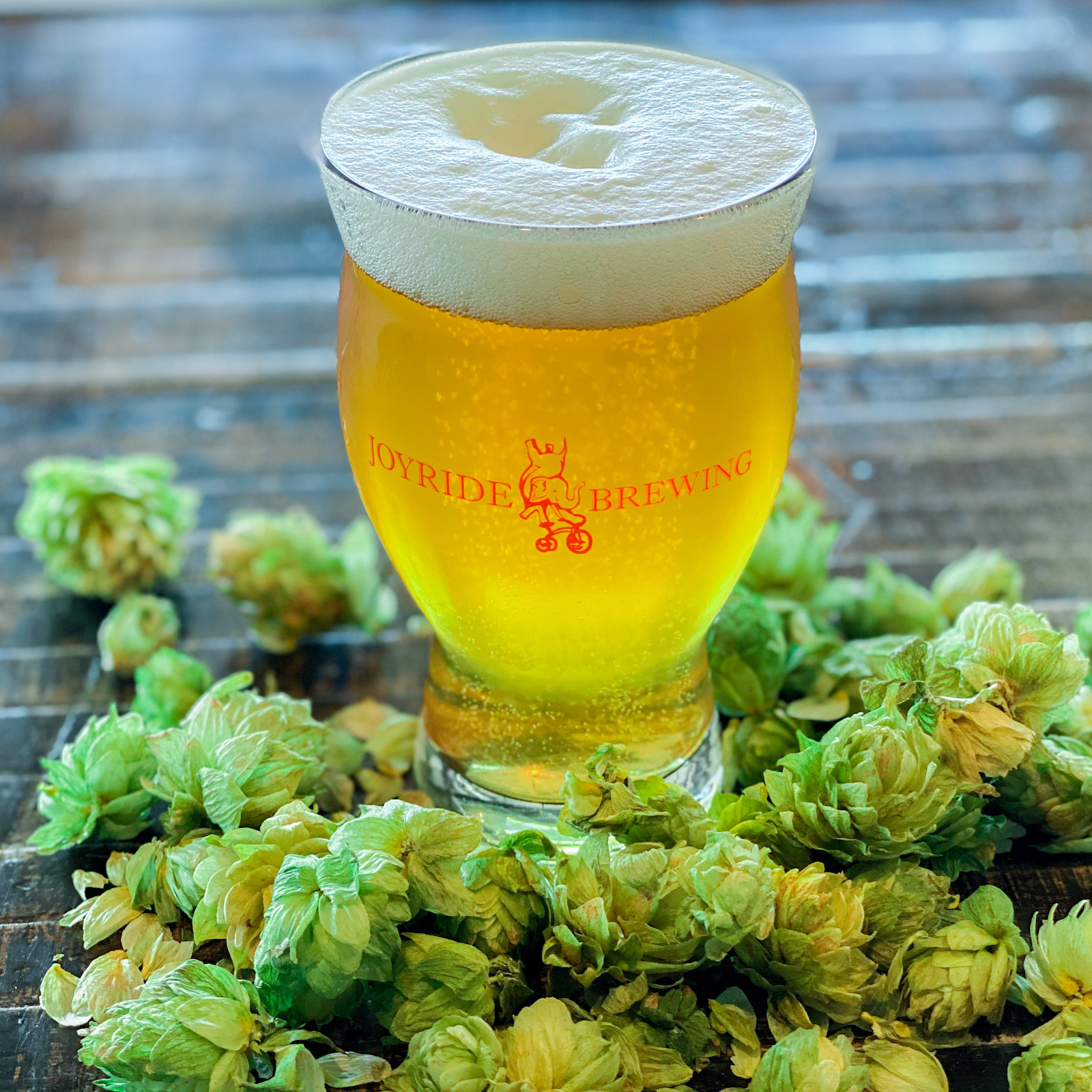 What's in Season Now: Fresh Hops
