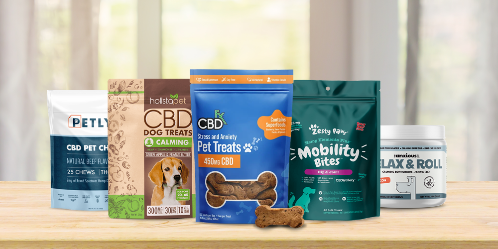 Best CBD Oil for Dogs: Our Top 10 Brands of 2022