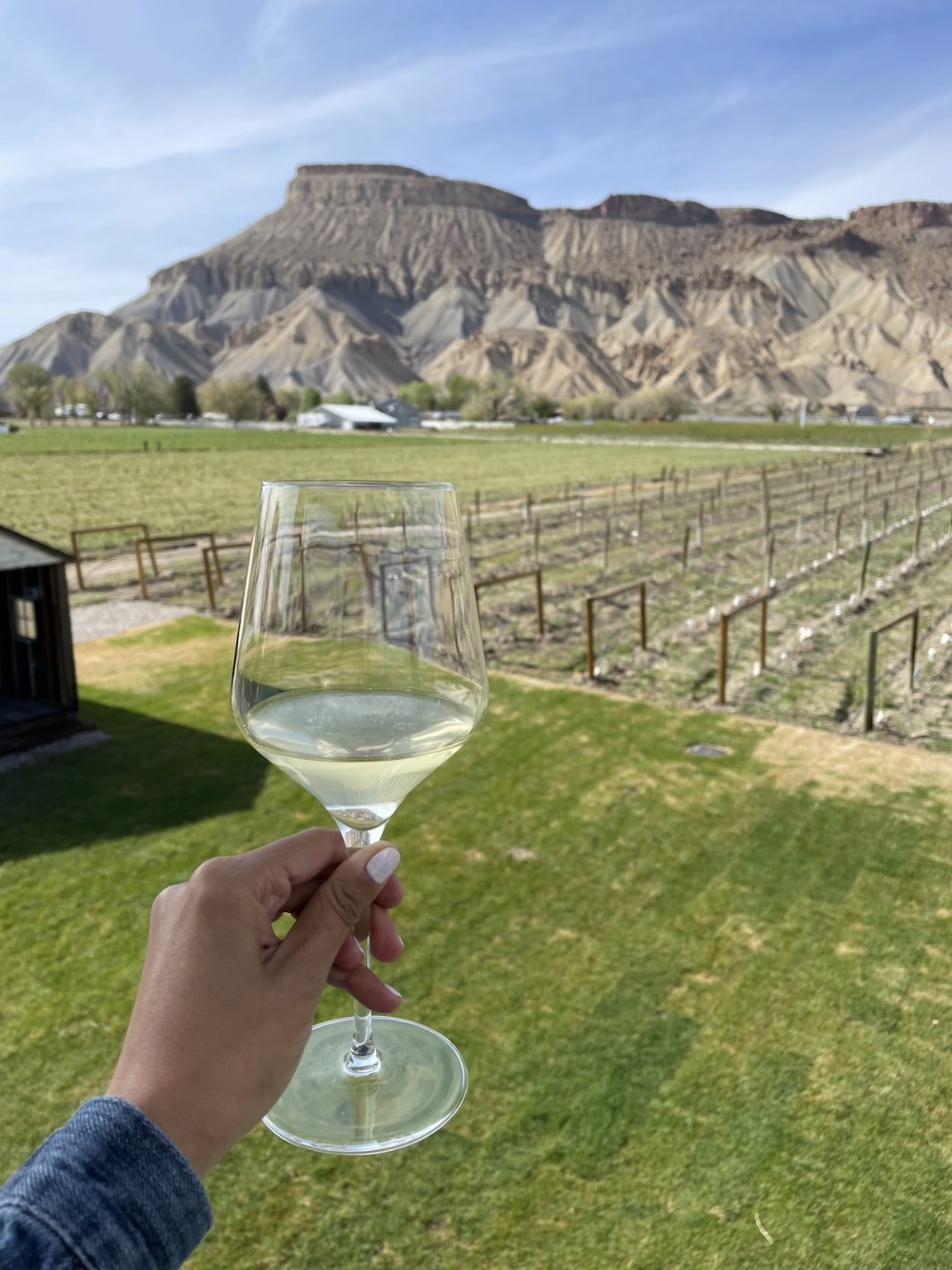 7 MustVisit Wineries to Add to Your Palisade Itinerary