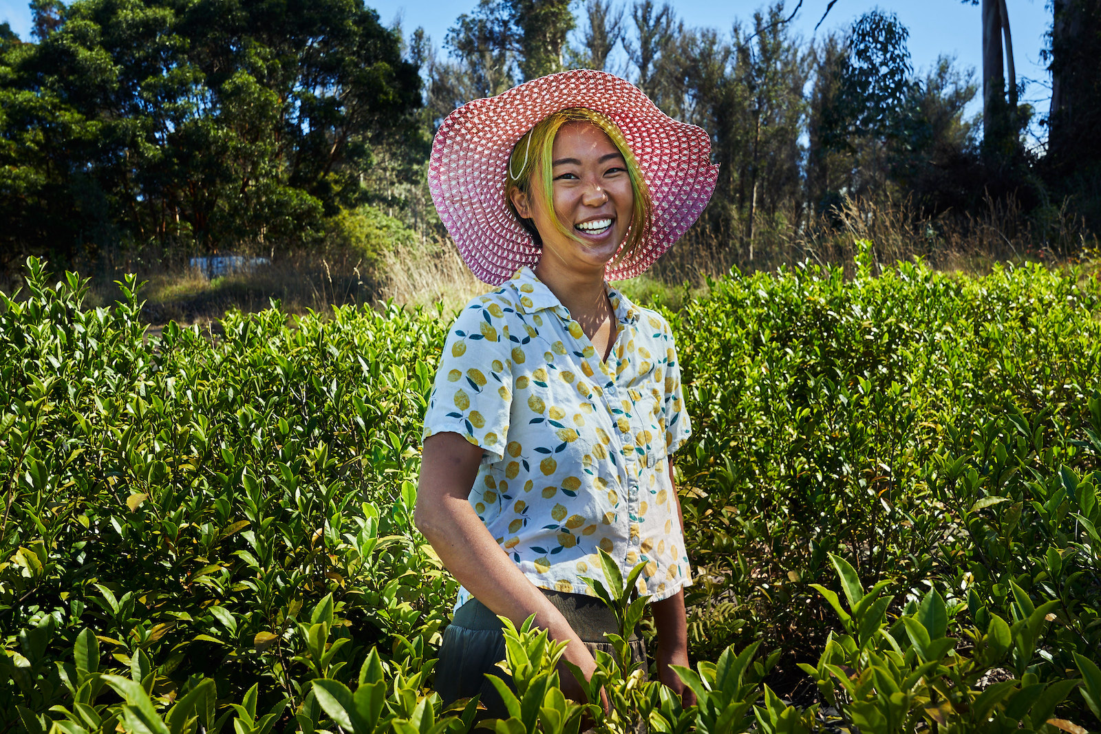 Uproot Teas Wants to Change the Way We Consume the Brew
