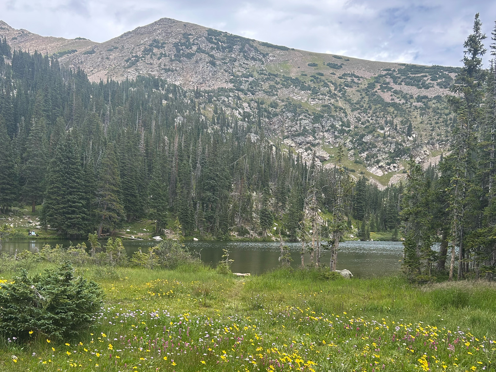 Lake with a field of wildflowers in front of it