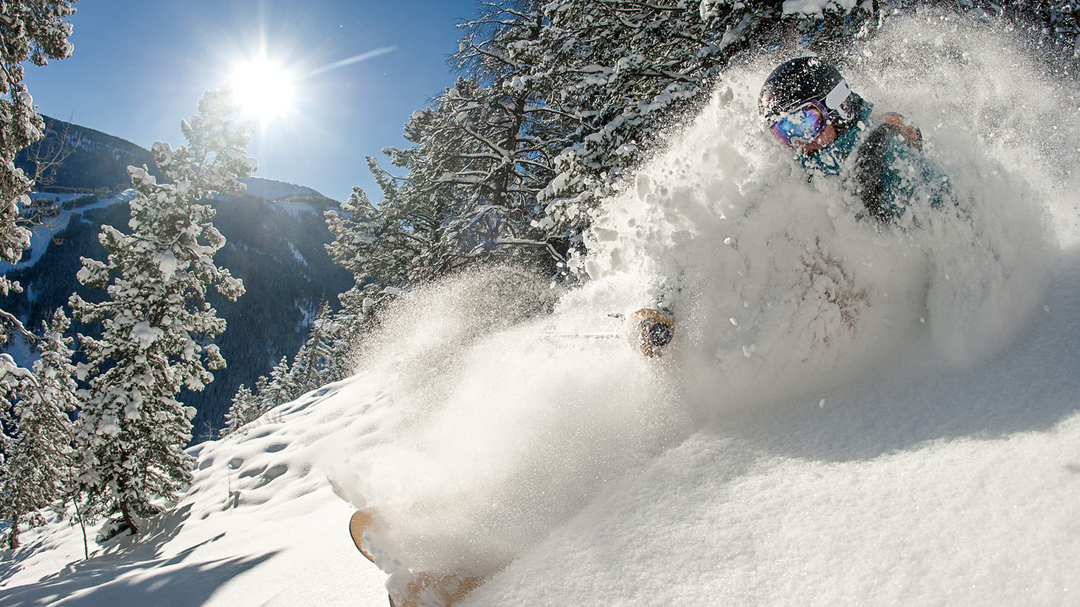 A skier slashes through deep snow in front of snow-laden pines on a bluebird day at Beaver Creek.