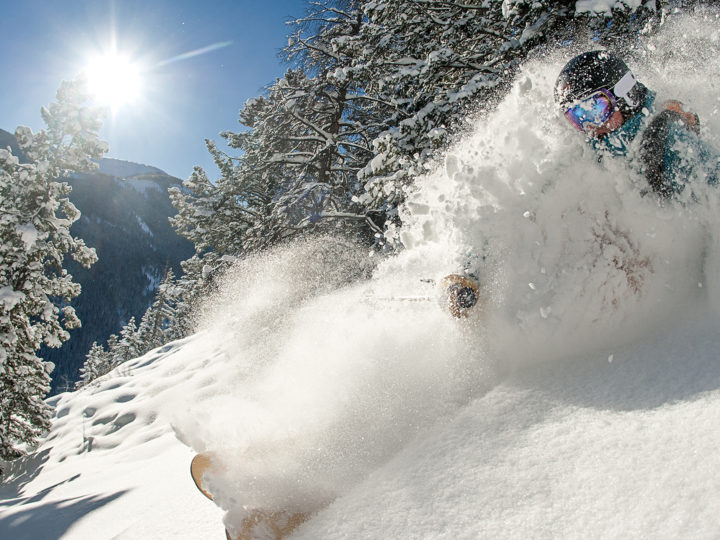 A skier slashes through deep snow in front of snow-laden pines on a bluebird day at Beaver Creek.