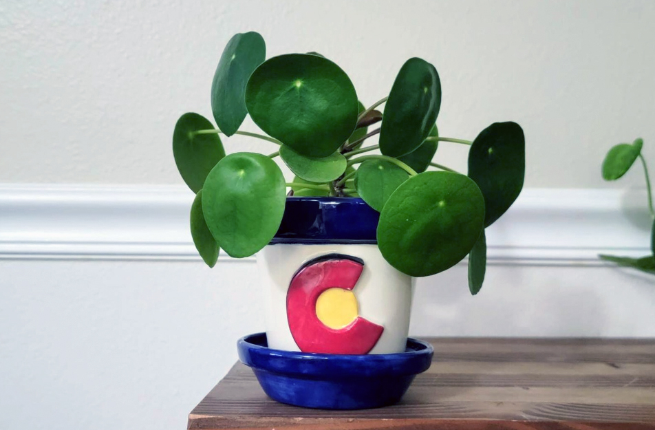 Mountain Mudworks Colorado Ceramic Pot